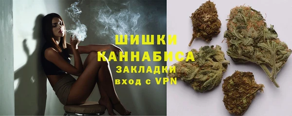 крисы Баксан