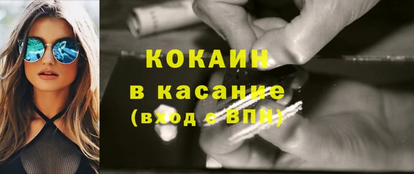 крисы Баксан