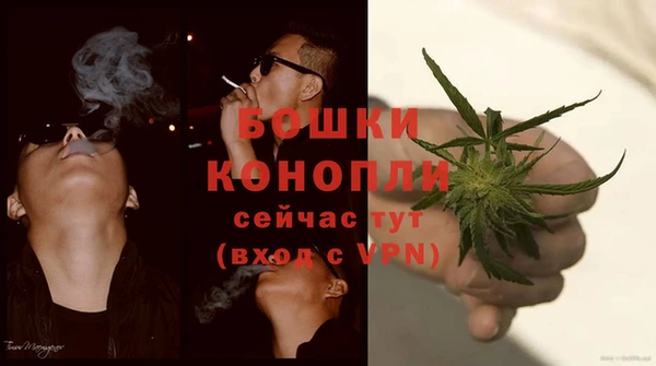 крисы Баксан