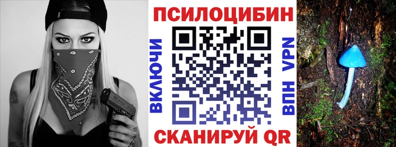 Псилоцибиновые грибы прущие грибы  Берёзовский 